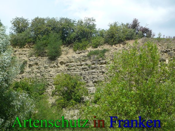 Copyright AiS Frederik Drenkhard Bild zum Eintrag (41817-160)