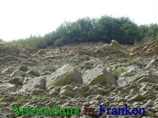 Copyright AiS Frederik Drenkhard Bild zum Eintrag (41819-160)