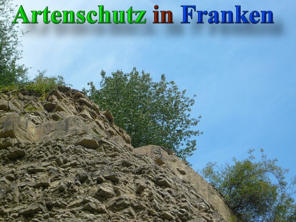 Copyright AiS Frederik Drenkhard Bild zum Eintrag (41825-160)