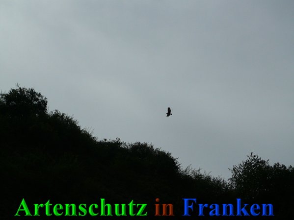 Copyright AiS Frederik Drenkhard Bild zum Eintrag (41826-160)
