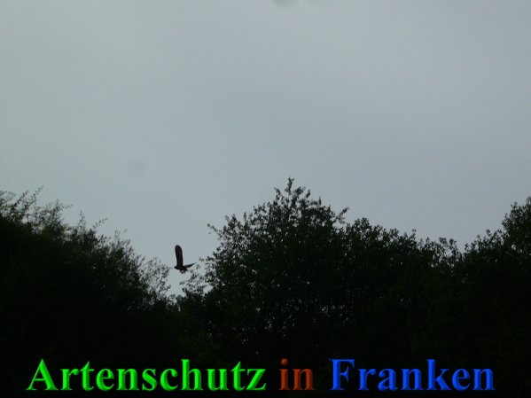 Copyright AiS Frederik Drenkhard Bild zum Eintrag (41827-160)