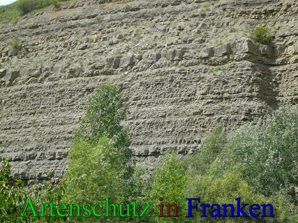 Copyright AiS Frederik Drenkhard Bild zum Eintrag (41836-160)