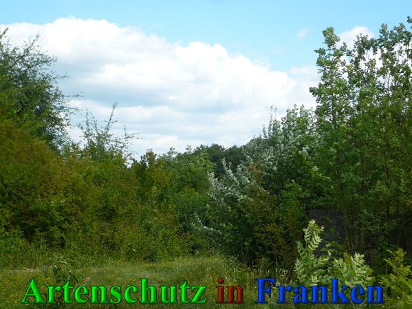 Copyright AiS Frederik Drenkhard Bild zum Eintrag (41840-160)