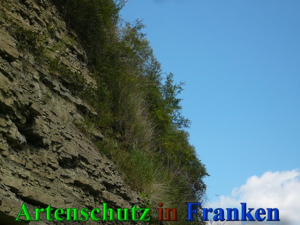 Copyright AiS Frederik Drenkhard Bild zum Eintrag (41844-160)