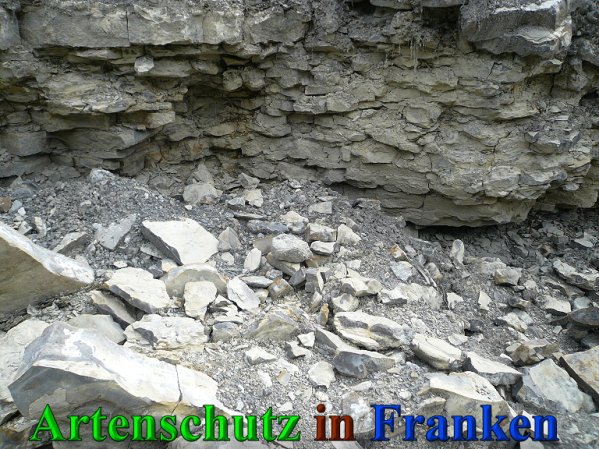 Copyright AiS Frederik Drenkhard Bild zum Eintrag (41846-160)