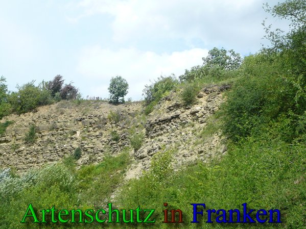 Copyright AiS Frederik Drenkhard Bild zum Eintrag (41848-160)