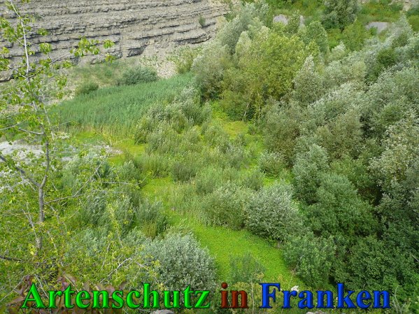 Copyright AiS Frederik Drenkhard Bild zum Eintrag (41854-160)