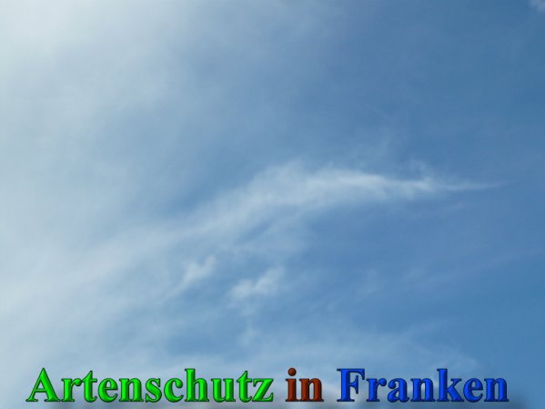 Copyright AiS Frederik Drenkhard Bild zum Eintrag (41856-160)