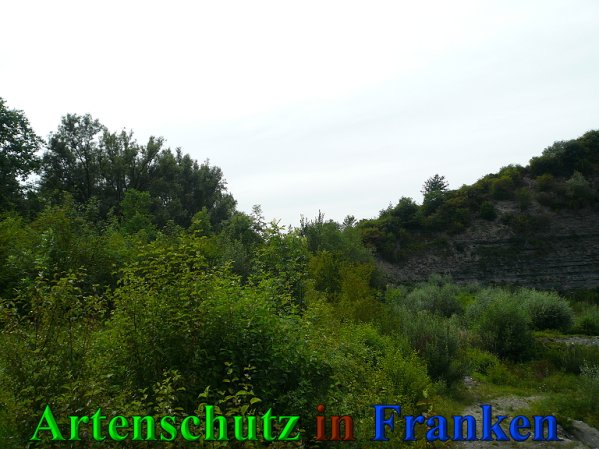 Copyright AiS Frederik Drenkhard Bild zum Eintrag (41857-160)