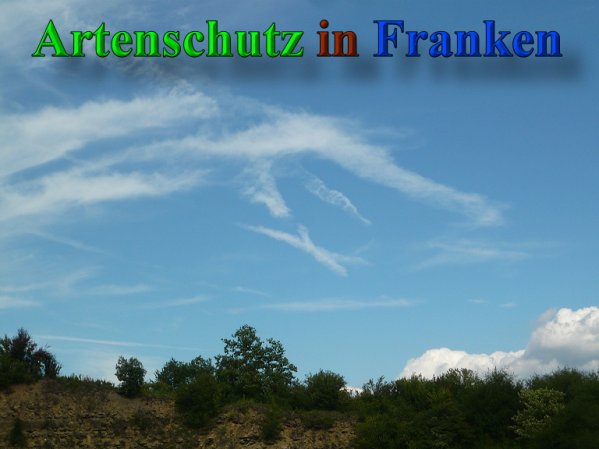 Copyright AiS Frederik Drenkhard Bild zum Eintrag (41858-160)