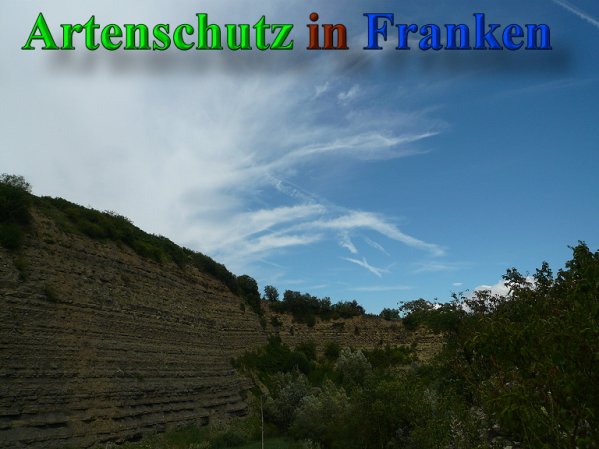 Copyright AiS Frederik Drenkhard Bild zum Eintrag (41860-160)