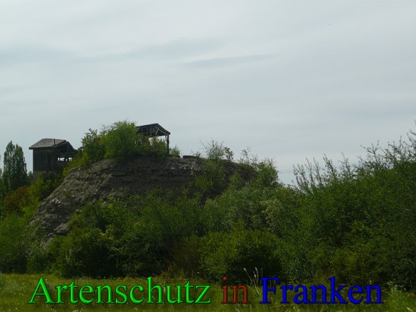 Copyright AiS Frederik Drenkhard Bild zum Eintrag (41863-160)