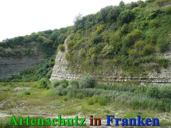 Copyright AiS Frederik Drenkhard Bild zum Eintrag (41866-160)