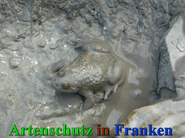 Copyright AiS Frederik Drenkhard Bild zum Eintrag (41867-160)