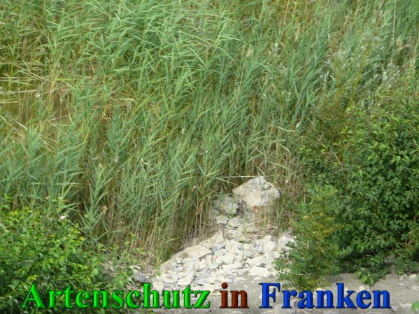 Copyright AiS Frederik Drenkhard Bild zum Eintrag (41868-160)