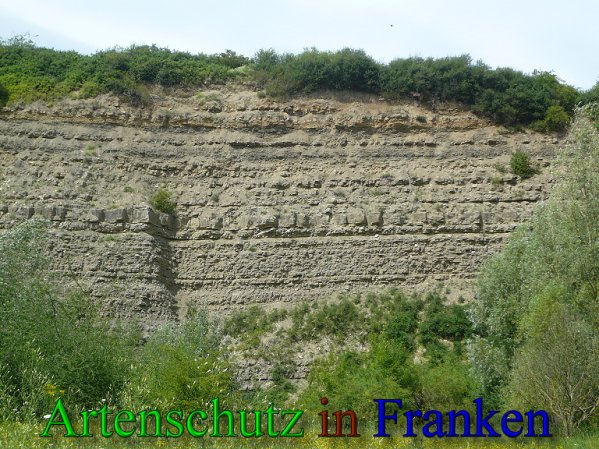 Copyright AiS Frederik Drenkhard Bild zum Eintrag (41870-160)