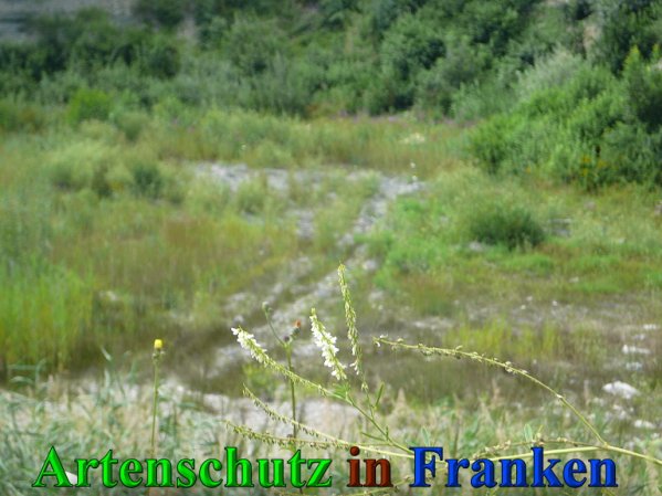 Copyright AiS Frederik Drenkhard Bild zum Eintrag (41871-160)