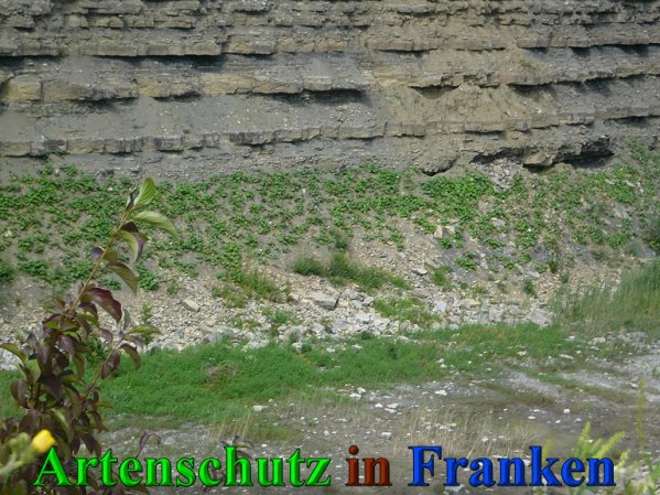 Copyright AiS Frederik Drenkhard Bild zum Eintrag (41872-160)