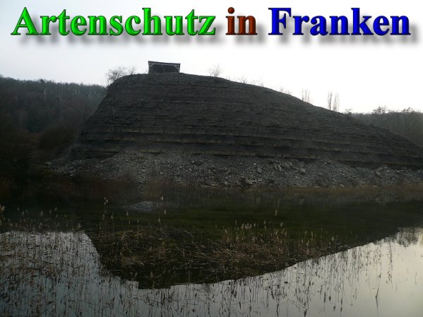 Copyright AiS Frederik Drenkhard Bild zum Eintrag (41881-160)