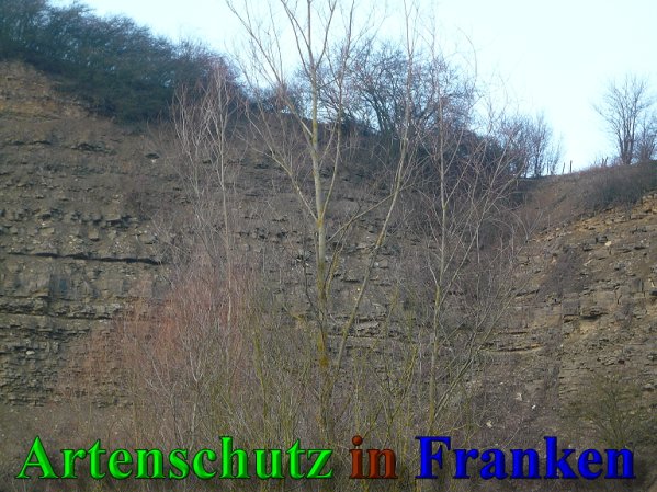 Copyright AiS Frederik Drenkhard Bild zum Eintrag (41883-160)