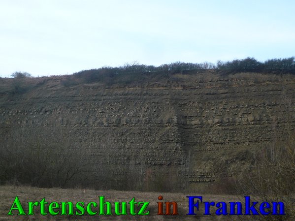 Copyright AiS Frederik Drenkhard Bild zum Eintrag (41884-160)