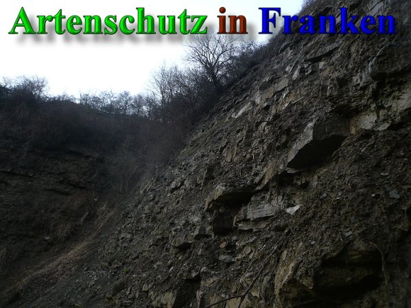 Copyright AiS Frederik Drenkhard Bild zum Eintrag (41885-160)
