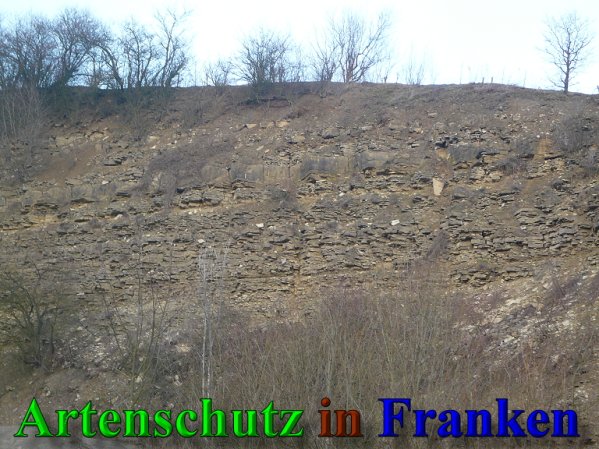 Copyright AiS Frederik Drenkhard Bild zum Eintrag (41886-160)