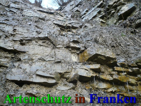 Copyright AiS Frederik Drenkhard Bild zum Eintrag (41887-160)