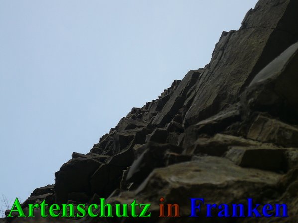 Copyright AiS Frederik Drenkhard Bild zum Eintrag (41889-160)