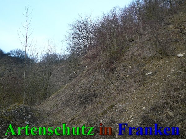Copyright AiS Frederik Drenkhard Bild zum Eintrag (41891-160)