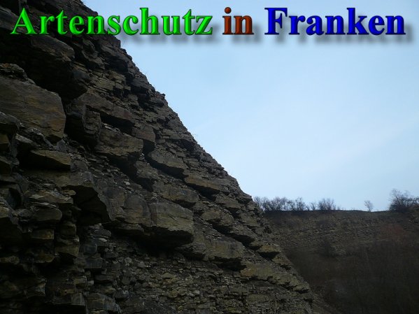 Copyright AiS Frederik Drenkhard Bild zum Eintrag (41892-160)