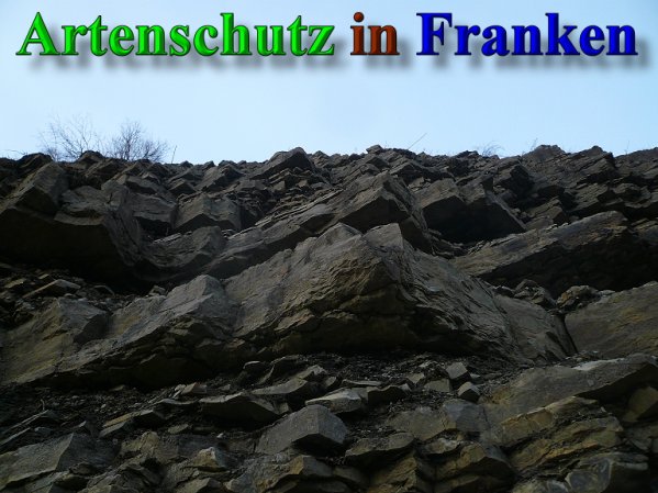 Copyright AiS Frederik Drenkhard Bild zum Eintrag (41893-160)