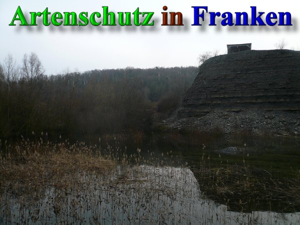 Copyright AiS Frederik Drenkhard Bild zum Eintrag (41894-160)