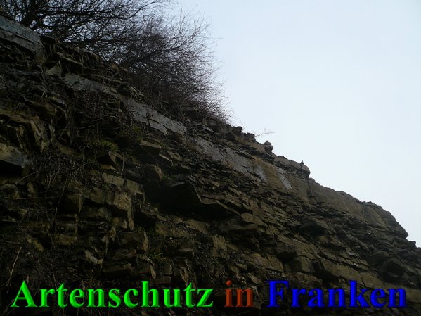 Copyright AiS Frederik Drenkhard Bild zum Eintrag (41895-160)