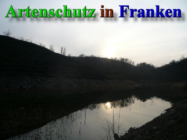 Copyright AiS Frederik Drenkhard Bild zum Eintrag (41896-160)