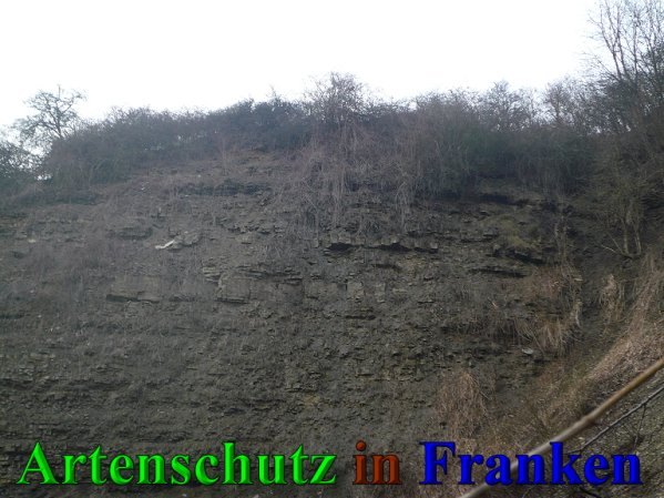 Copyright AiS Frederik Drenkhard Bild zum Eintrag (41898-160)