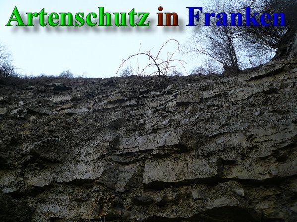 Copyright AiS Frederik Drenkhard Bild zum Eintrag (41899-160)