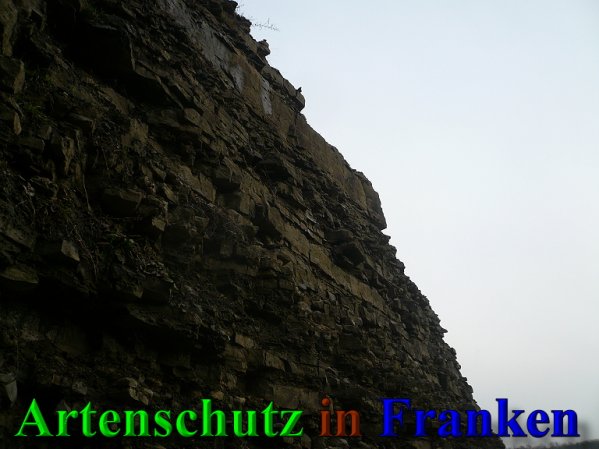 Copyright AiS Frederik Drenkhard Bild zum Eintrag (41900-160)