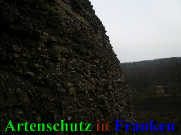 Copyright AiS Frederik Drenkhard Bild zum Eintrag (41901-160)