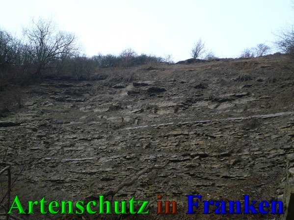 Copyright AiS Frederik Drenkhard Bild zum Eintrag (41902-160)