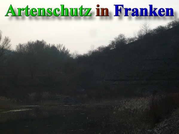 Copyright AiS Frederik Drenkhard Bild zum Eintrag (41903-160)