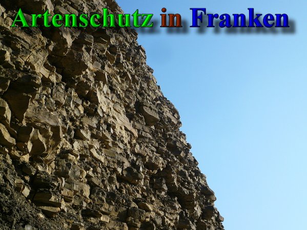 Copyright AiS Frederik Drenkhard Bild zum Eintrag (41904-160)