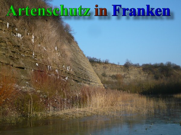 Copyright AiS Frederik Drenkhard Bild zum Eintrag (41923-160)
