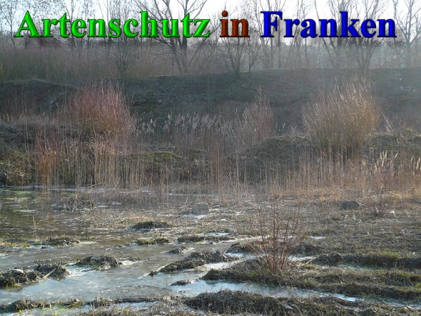 Copyright AiS Frederik Drenkhard Bild zum Eintrag (41924-160)