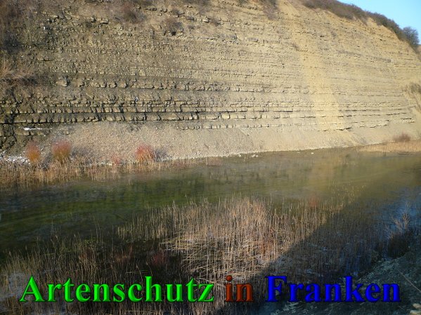 Copyright AiS Frederik Drenkhard Bild zum Eintrag (41925-160)