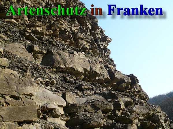 Copyright AiS Frederik Drenkhard Bild zum Eintrag (41926-160)