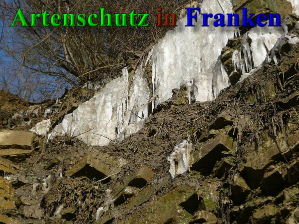 Copyright AiS Frederik Drenkhard Bild zum Eintrag (41927-160)