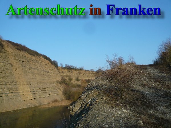 Copyright AiS Frederik Drenkhard Bild zum Eintrag (41928-160)
