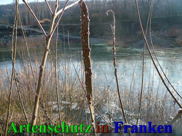 Copyright AiS Frederik Drenkhard Bild zum Eintrag (41929-160)