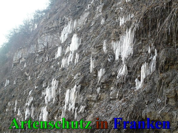 Copyright AiS Frederik Drenkhard Bild zum Eintrag (41930-160)